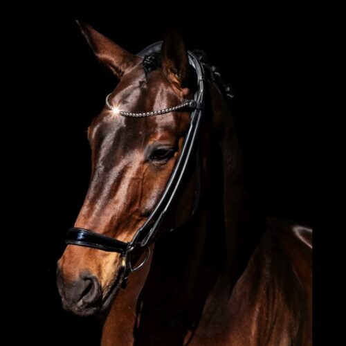 Finesse Rolled Drop Noseband